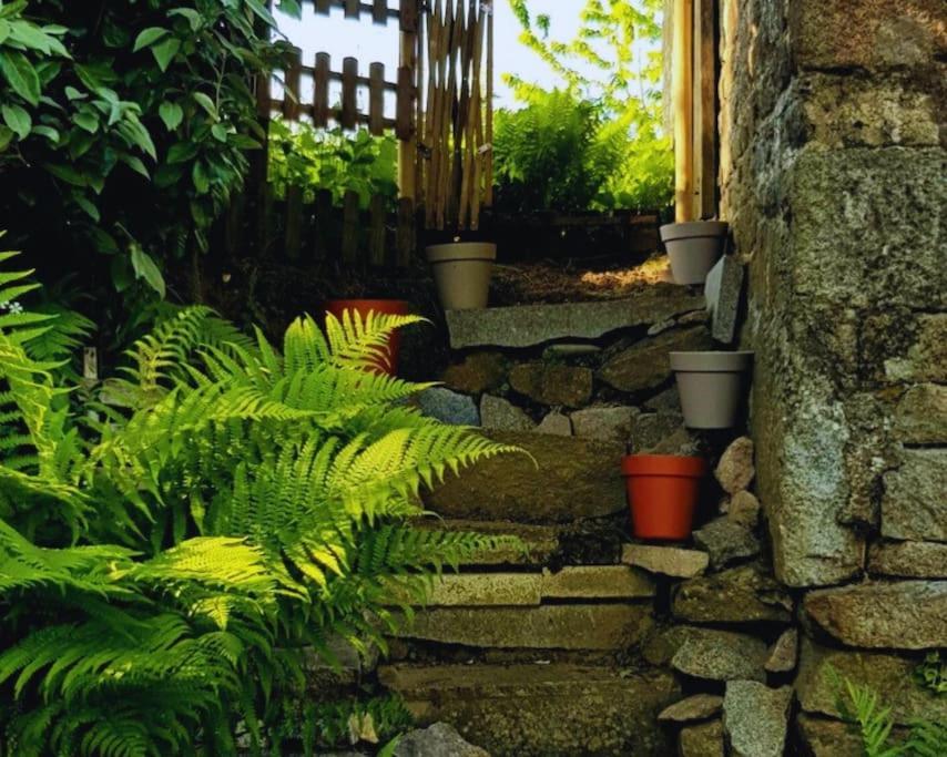Maison En Pierre Au Milieu Du Bocage Coulouvray-Boisbenâtre Esterno foto