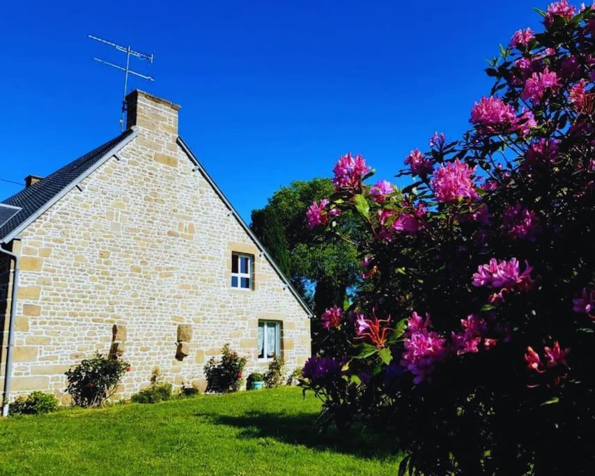 Maison En Pierre Au Milieu Du Bocage Coulouvray-Boisbenâtre Esterno foto